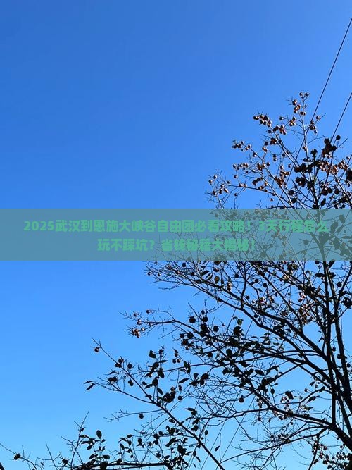 武汉到恩施大峡谷自由团