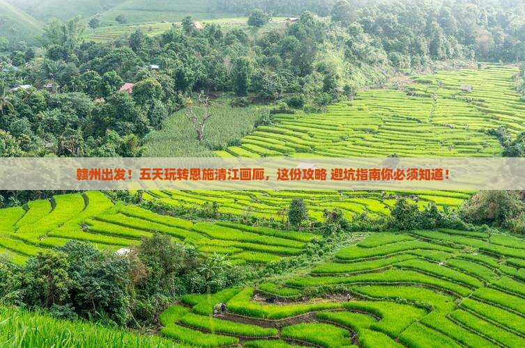 赣州到恩施清江画廊五日游