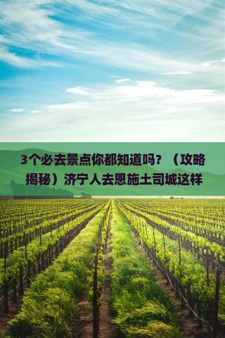 济宁去恩施土司城必去地