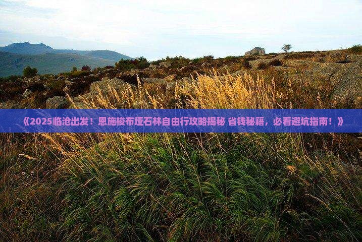 临沧去恩施梭布垭石林自由行
