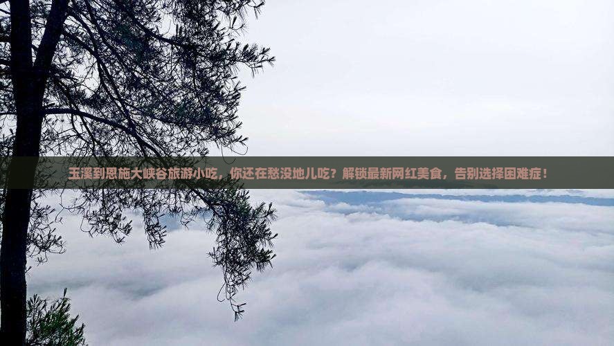 玉溪到恩施大峡谷旅游小吃