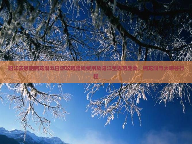 阳江去恩施腾龙洞五日游