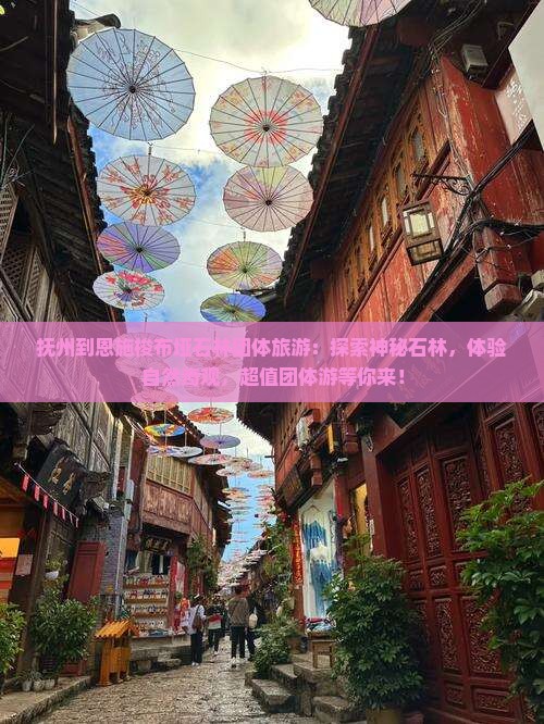 抚州到恩施梭布垭石林团体旅游