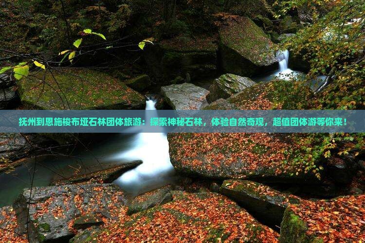 抚州到恩施梭布垭石林团体旅游