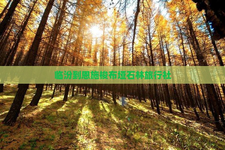 临汾到恩施梭布垭石林旅行社