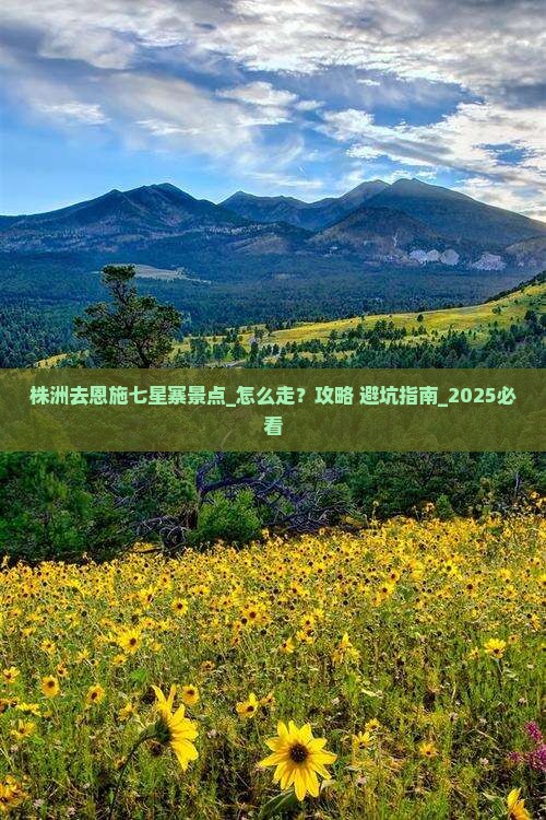 株洲去恩施七星寨景点