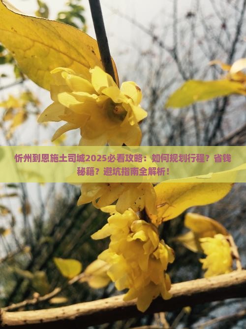 忻州到恩施土司城攻略