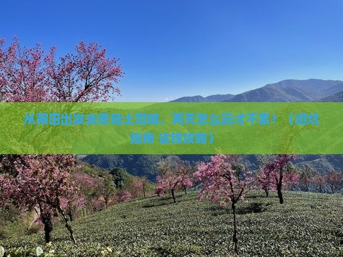 莆田去恩施土司城二日游