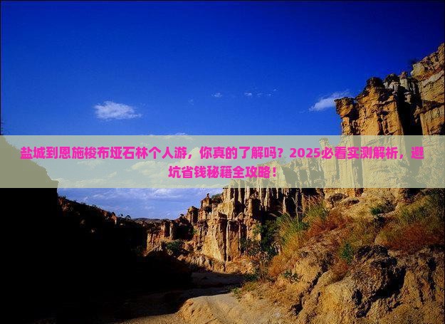 盐城到恩施梭布垭石林个人游