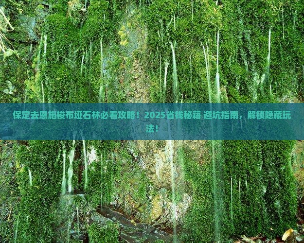 保定去恩施梭布垭石林必去地