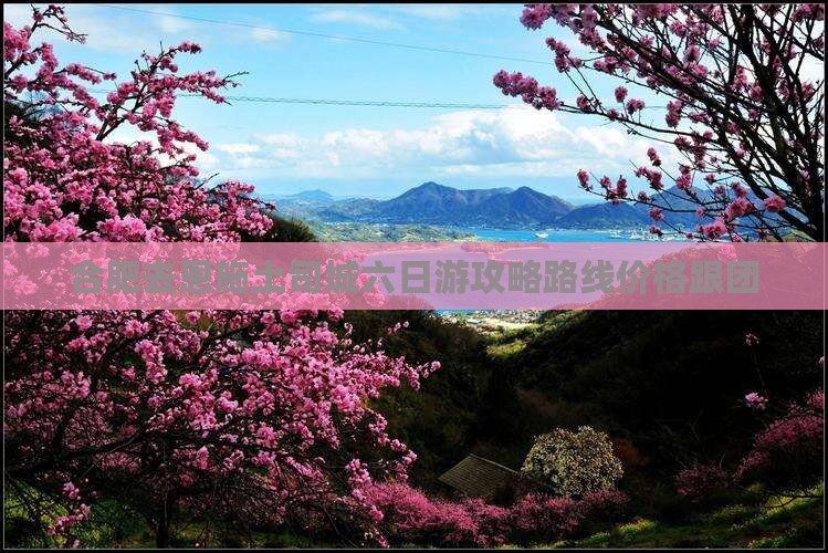 合肥去恩施土司城六日游