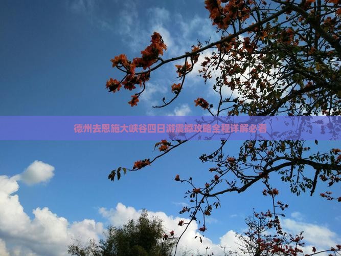 德州去恩施大峡谷四日游