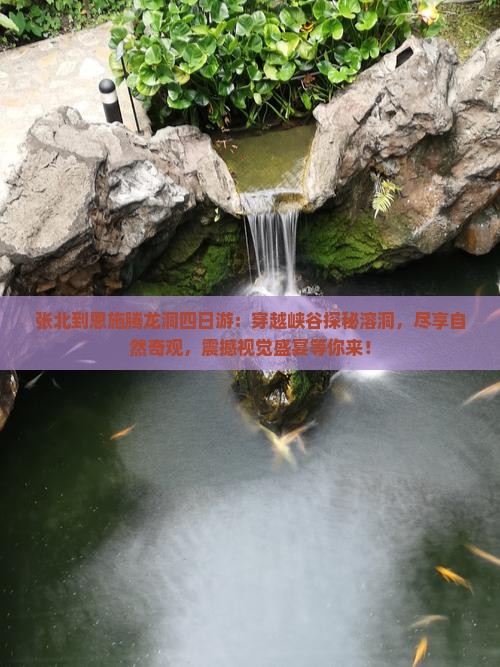 张北到恩施腾龙洞四日游
