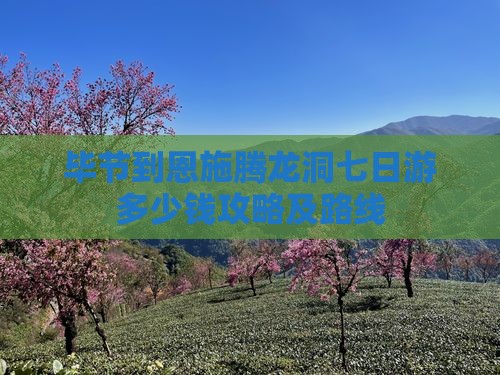 毕节到恩施腾龙洞七日游