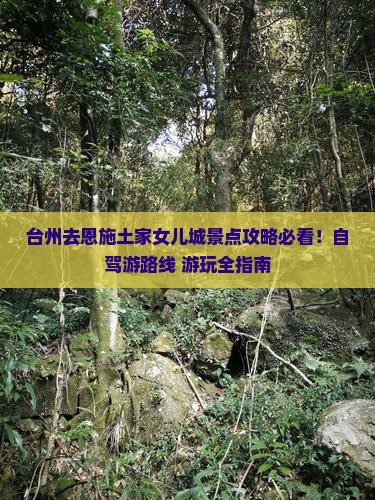 台州去恩施土家女儿城景点