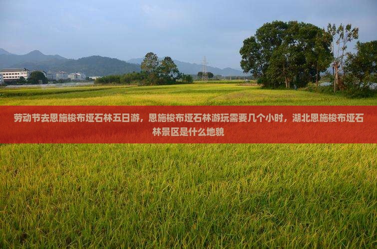劳动节去恩施梭布垭石林五日游