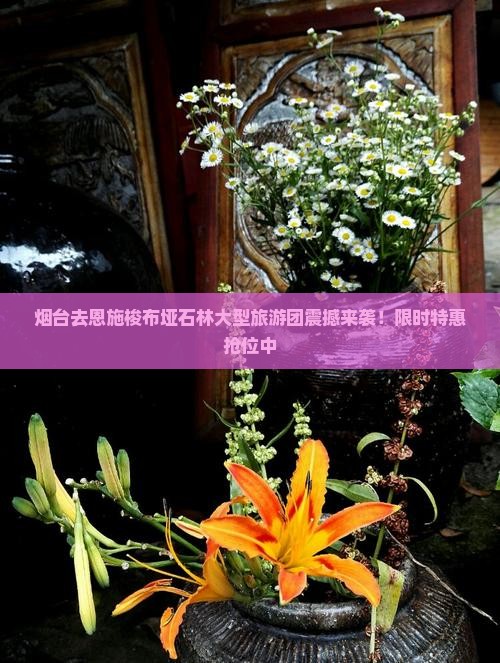 烟台去恩施梭布垭石林大型旅游团