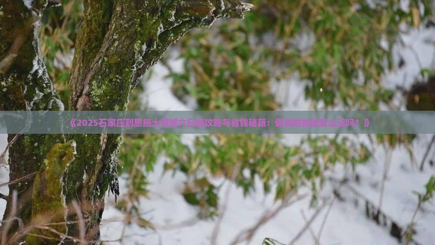 石家庄到恩施土司城六日游
