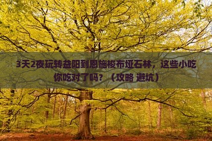 益阳去恩施梭布垭石林旅游小吃