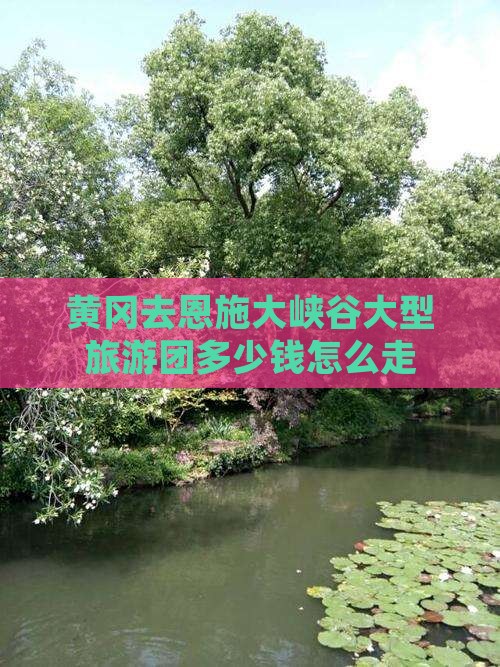 黄冈去恩施大峡谷大型旅游团