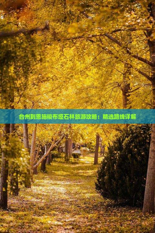台州到恩施梭布垭石林攻略