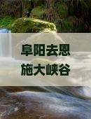 阜阳去恩施大峡谷个人游