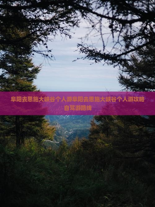 阜阳去恩施大峡谷个人游