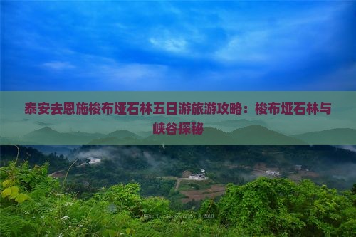 泰安去恩施梭布垭石林五日游