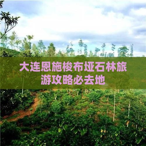 大连去恩施梭布垭石林必去地