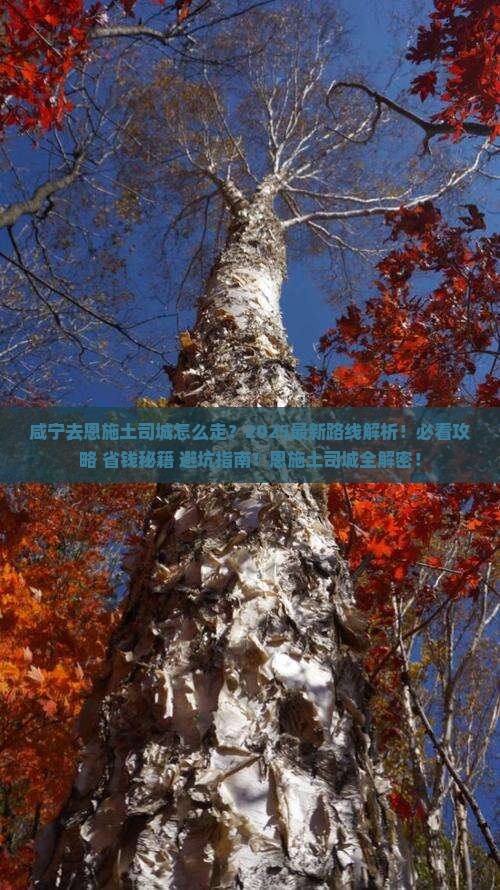 咸宁去恩施土司城攻略