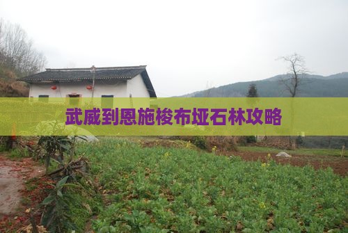 武威到恩施梭布垭石林哪里玩
