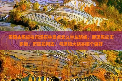 贵阳去恩施梭布垭石林景点