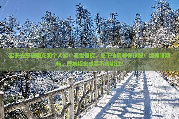 延安去恩施腾龙洞个人游