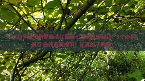 巴中到恩施清江画廊七日游