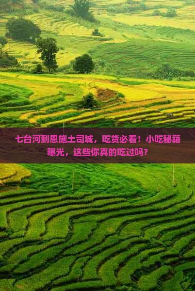 七台河到恩施土司城旅游小吃