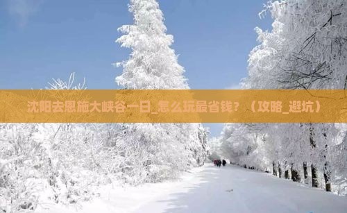 沈阳去恩施大峡谷一日