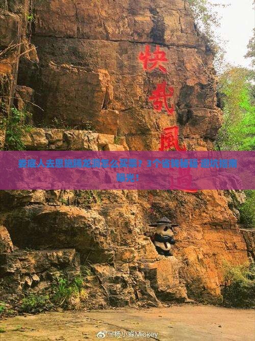 娄底去恩施腾龙洞门票