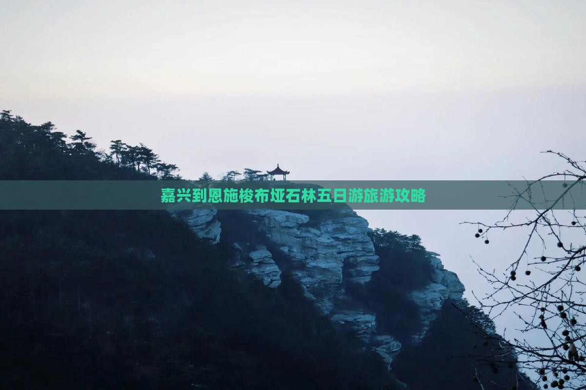嘉兴到恩施梭布垭石林五日游