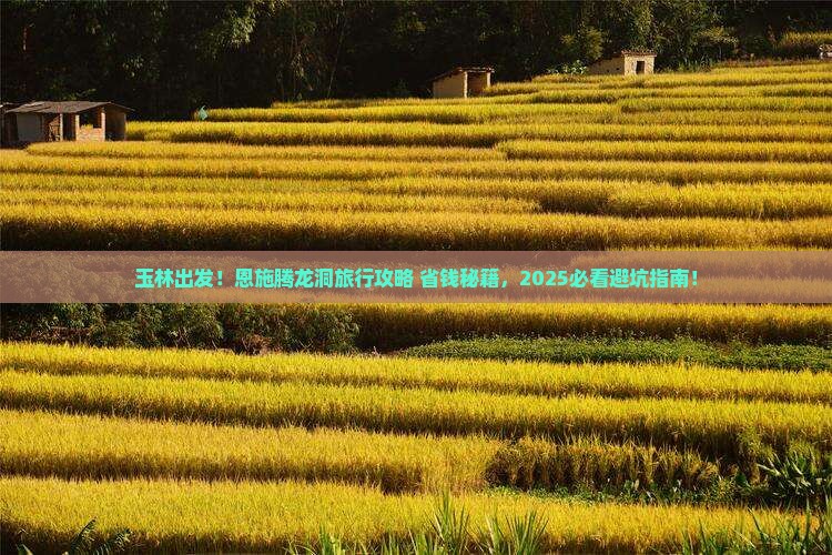 玉林到恩施腾龙洞旅行社