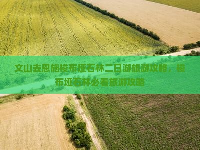 文山去恩施梭布垭石林二日游