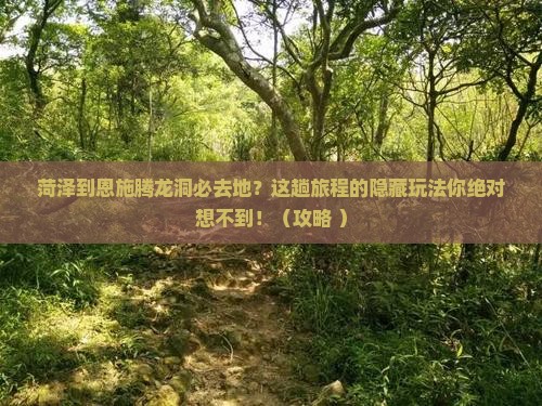 菏泽到恩施腾龙洞必去地