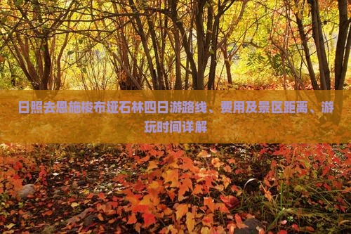 日照去恩施梭布垭石林四日游