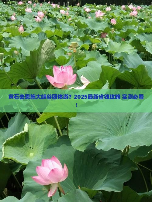 黄石到恩施大峡谷团体旅游