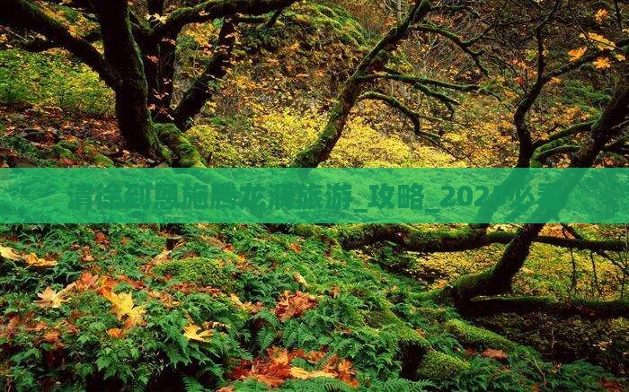 清徐到恩施腾龙洞旅游