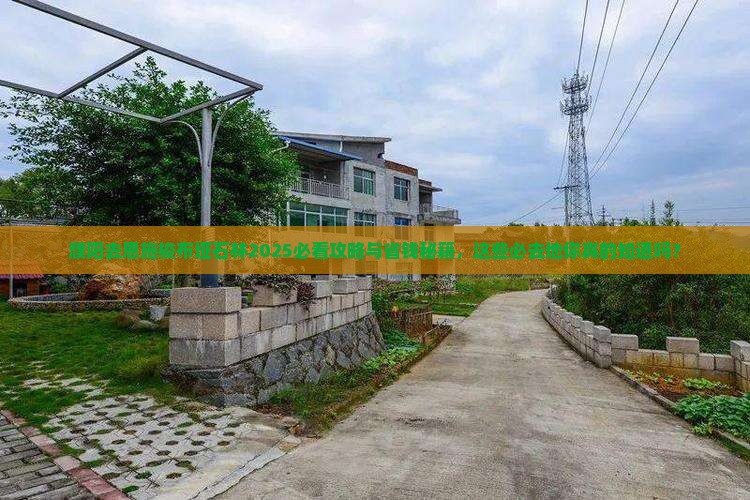濮阳去恩施梭布垭石林必去地