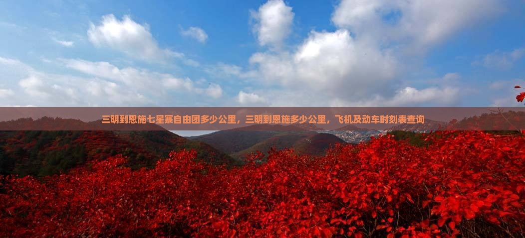 三明到恩施七星寨自由团