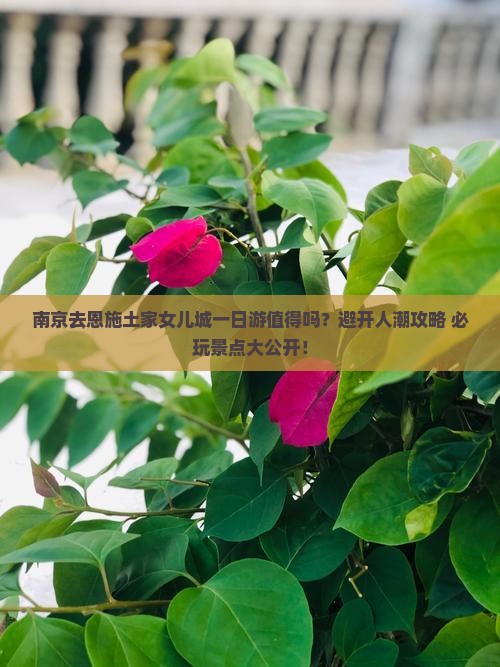 南京去恩施土家女儿城一日