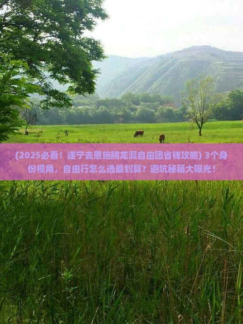 遂宁去恩施腾龙洞自由团