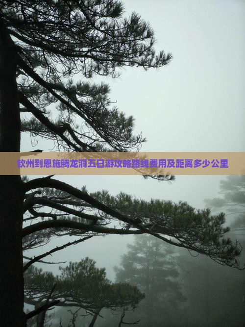 钦州到恩施腾龙洞五日游
