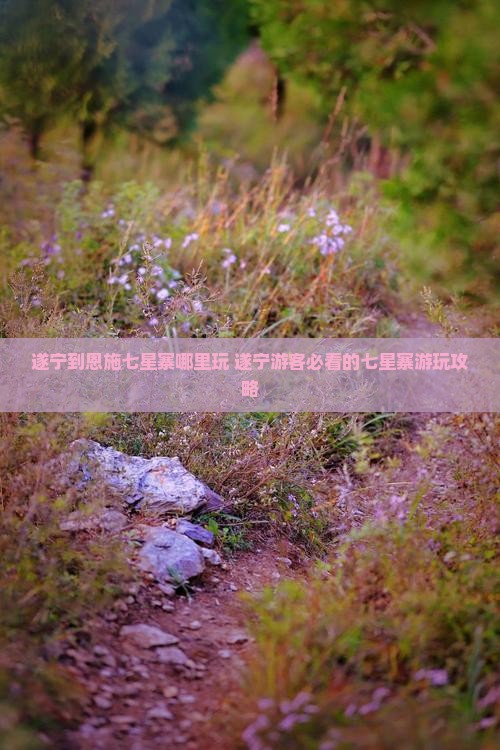遂宁到恩施七星寨哪里玩